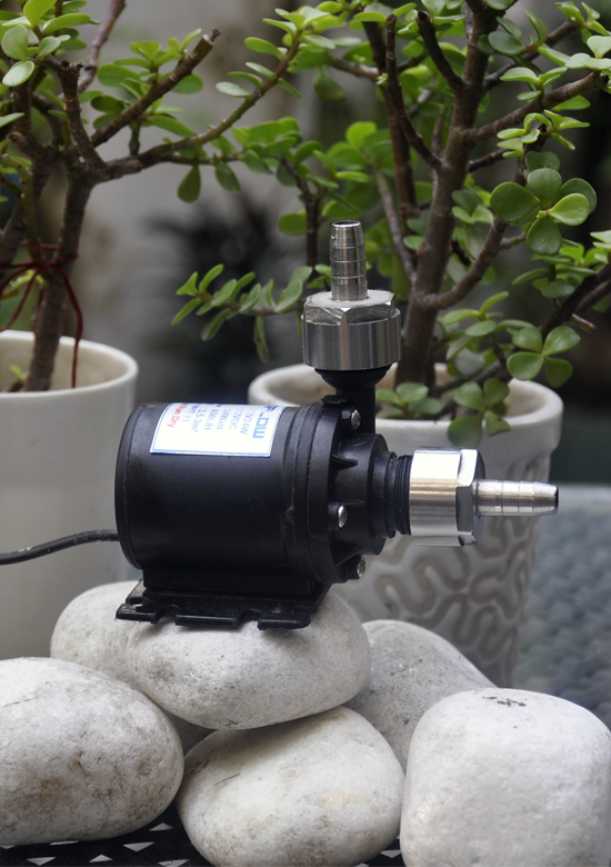 Zeddflow 12V DC submersible water pump resting on white stones with stainless steel G1/2 inch female barb adapters installed.