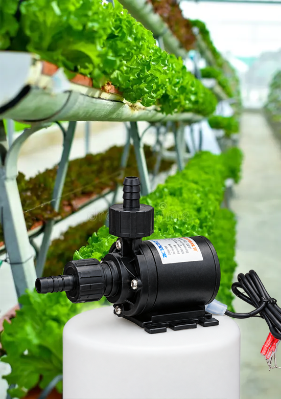 featuring your Zeddflow 12V BLDC submersible water pump set in a vibrant outdoor hydroponics and water application environment